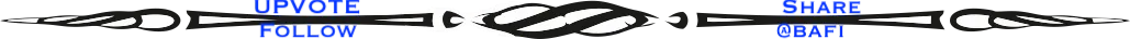 seperator2.png