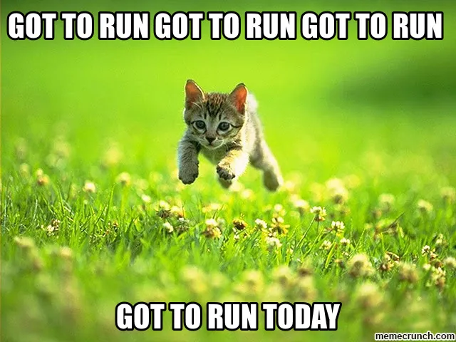 got-to-run.jpg