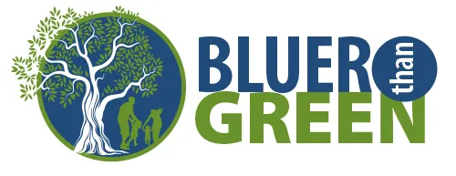 BLUER-logo.jpg