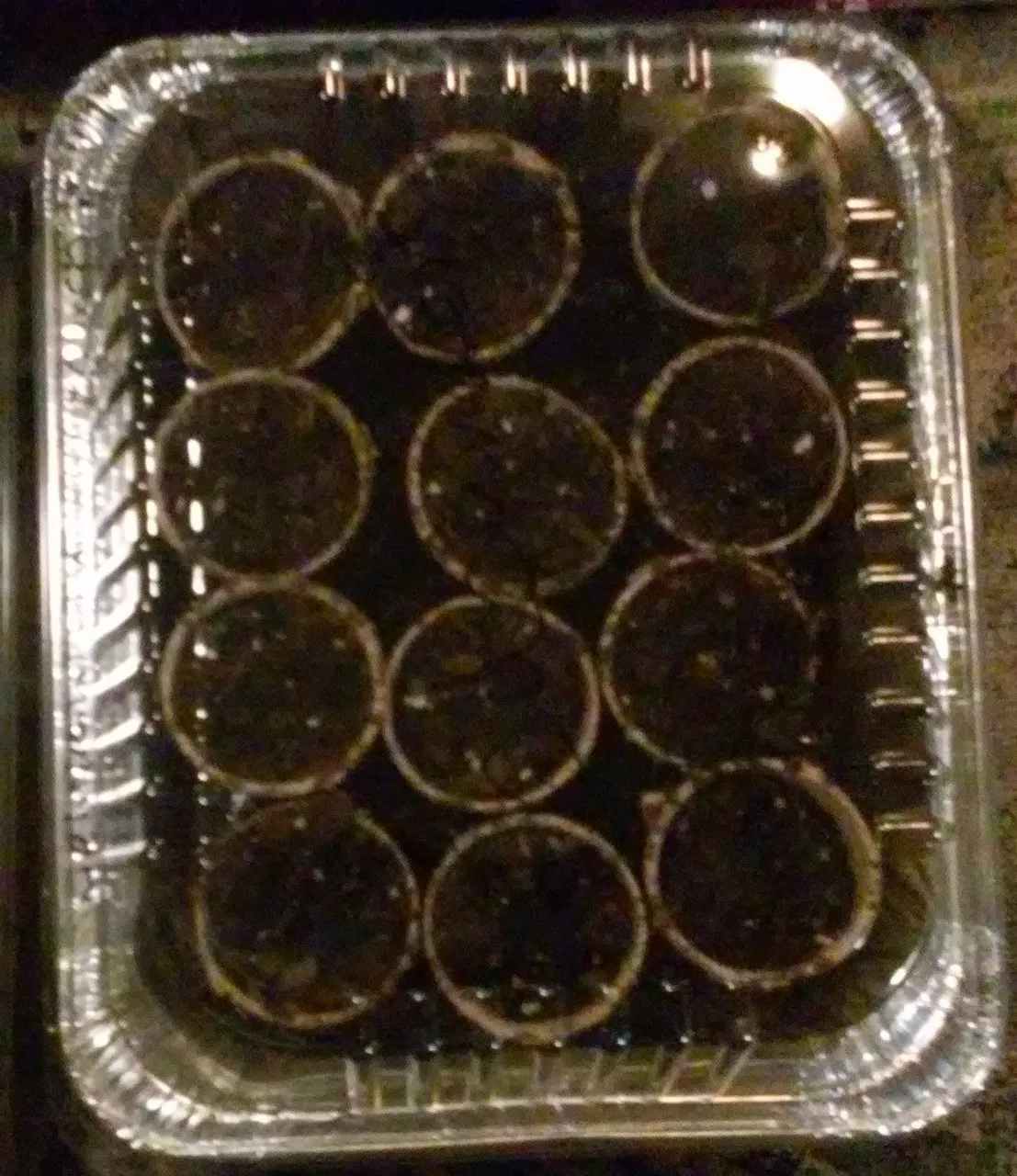 0315182033.jpg