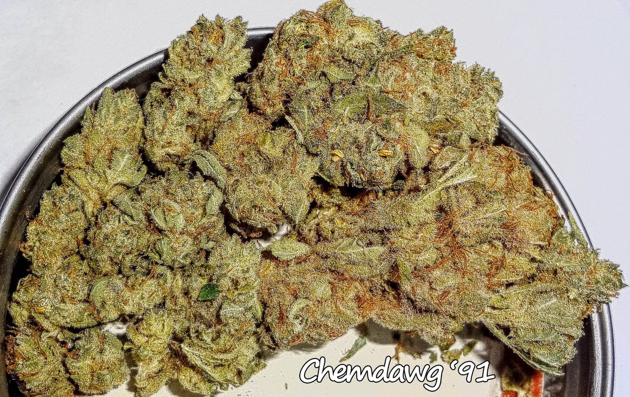 chemdawg91.JPG