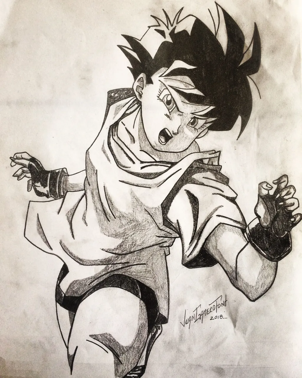 videl 14.JPG