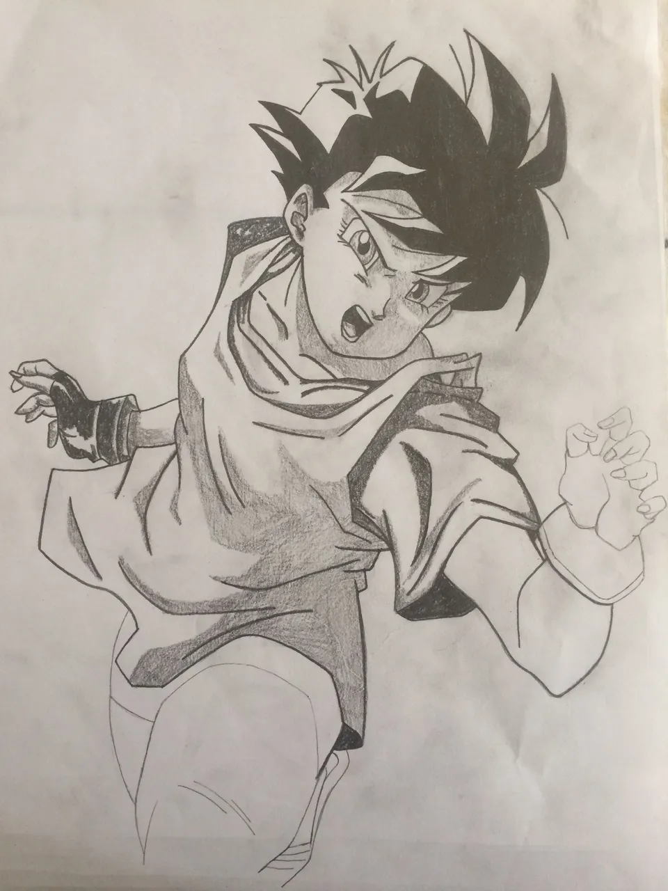 videl 12.JPG