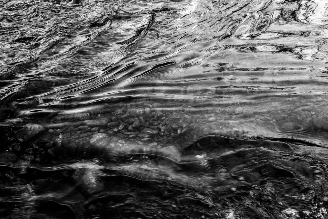 IMG_7560bw.jpg