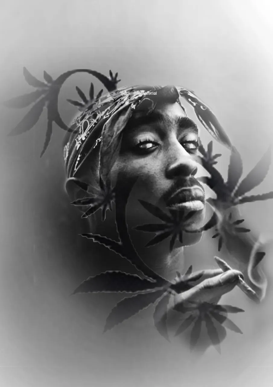 2pac ta2.jpg