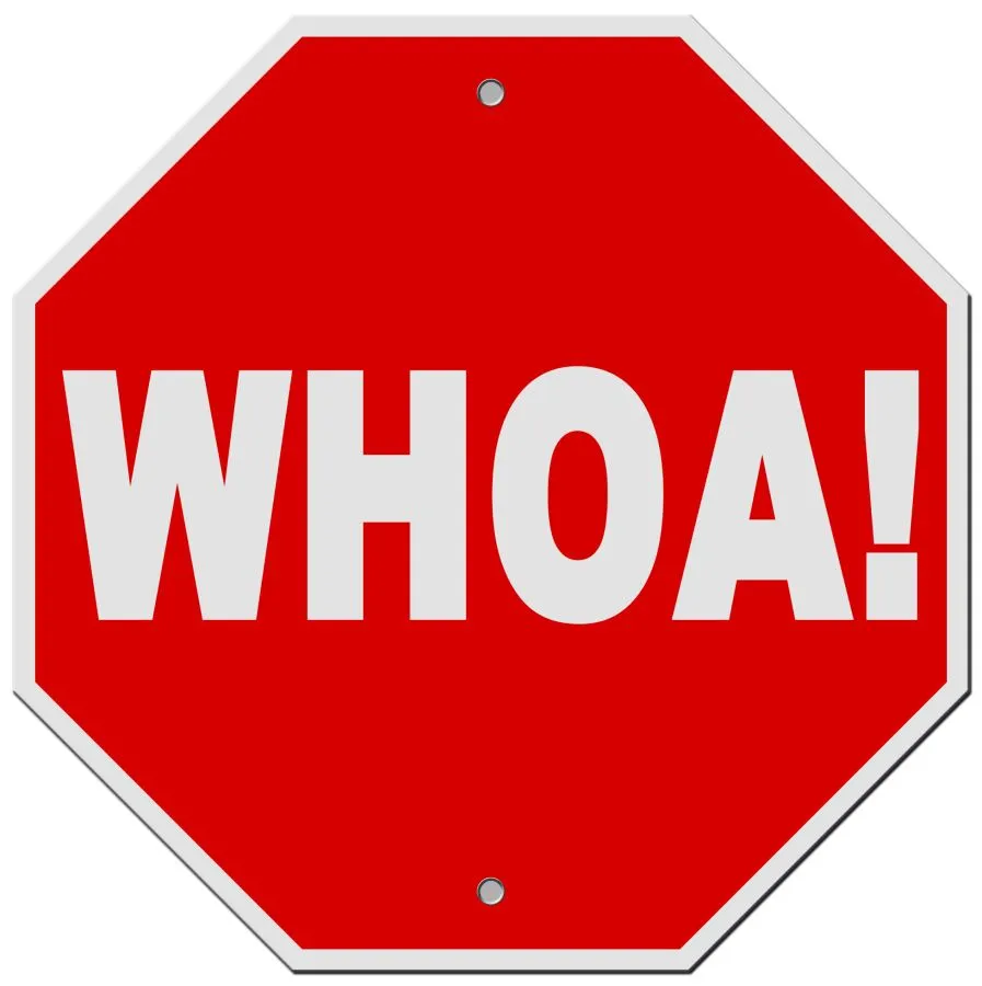 whoa-sign1.jpg