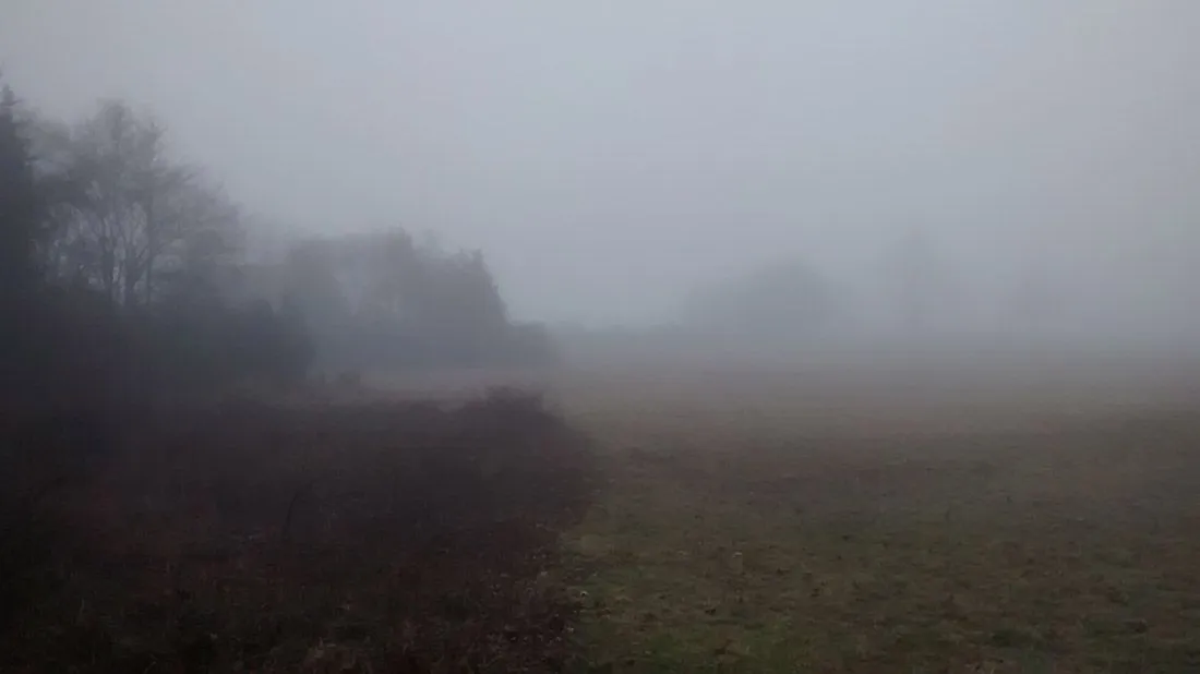 jan23walk6.jpg