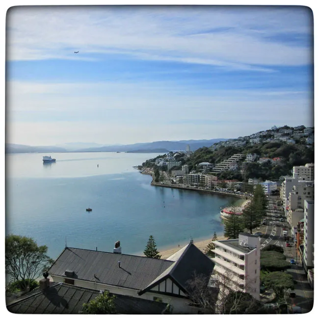 wellington.jpg