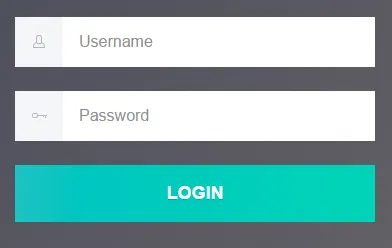 login-form.png