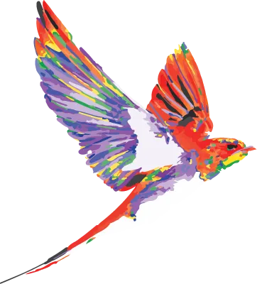 Untitled-1.png