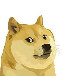 dogecoin1.jpeg