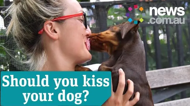 kiss dog.jpg