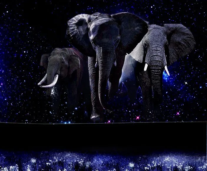 Elephants6.jpg