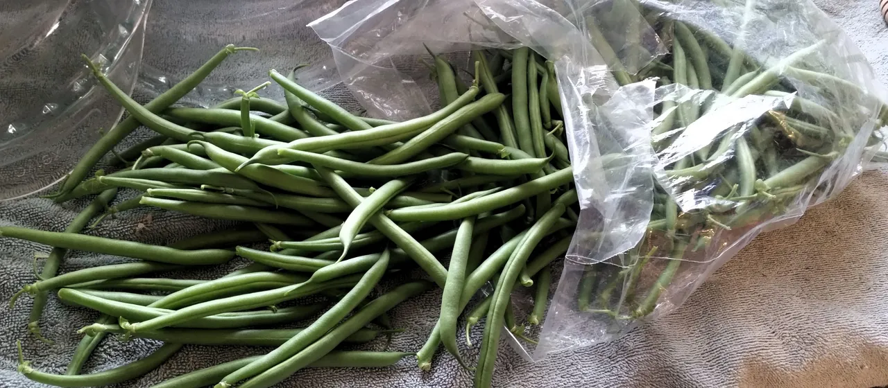 greenbeans.jpg