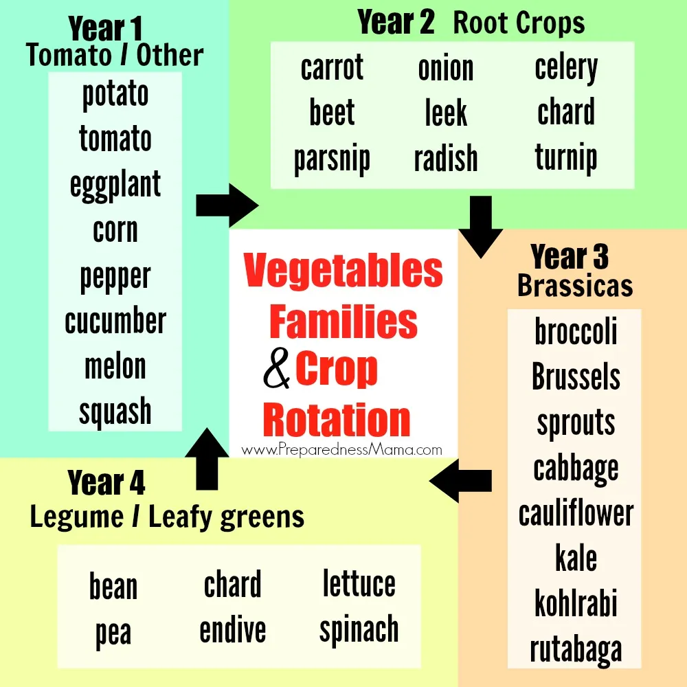 Crop Rot.jpg