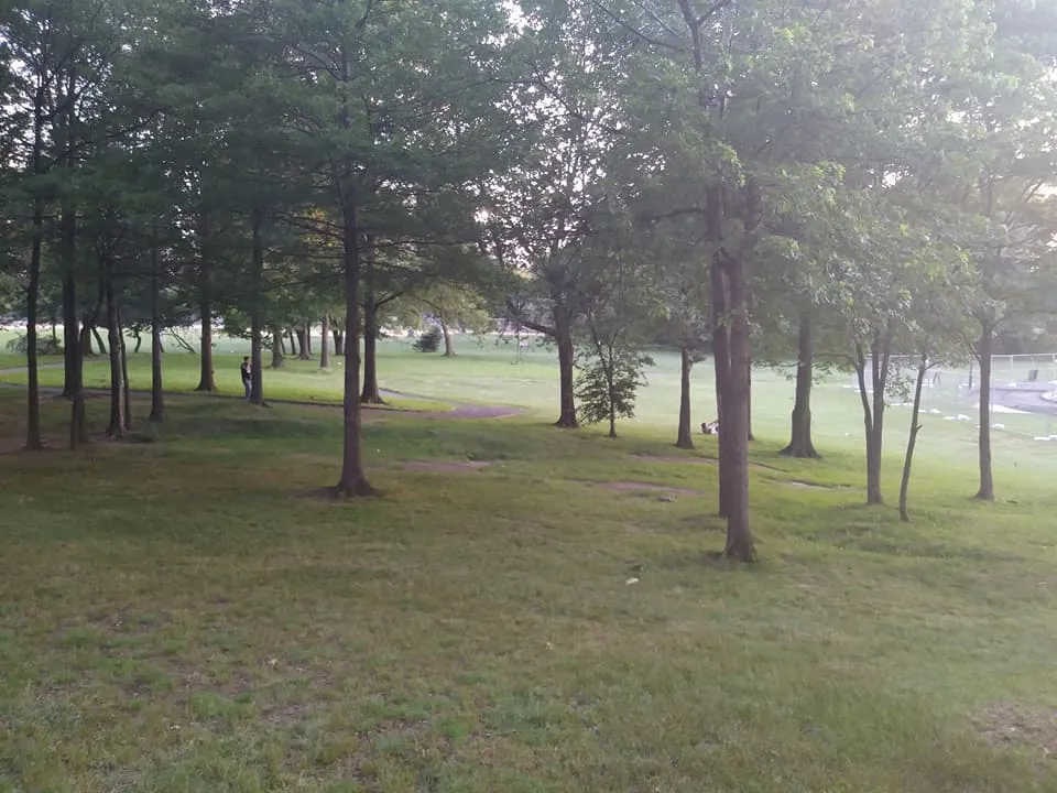 13 parkk.jpg