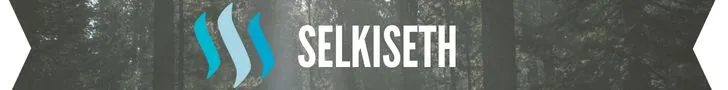 selkiseth1.jpg