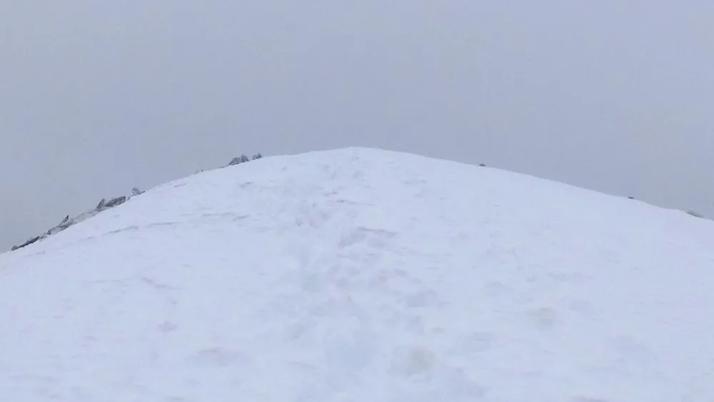 6 Summit.jpg