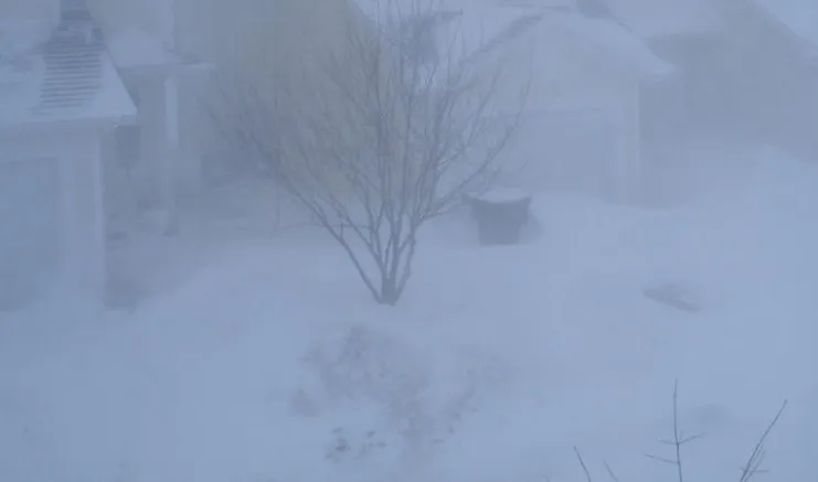 blizzard03.jpg