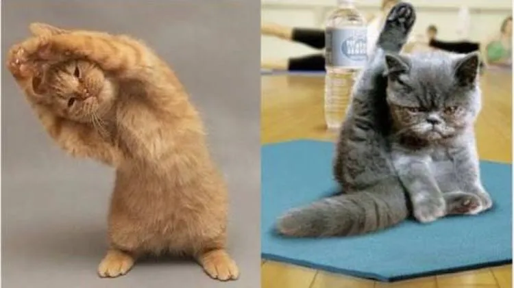 kit yoga.jpg