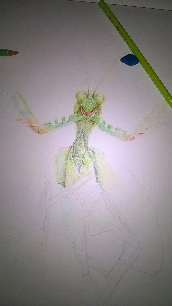 mantiswip2.jpg