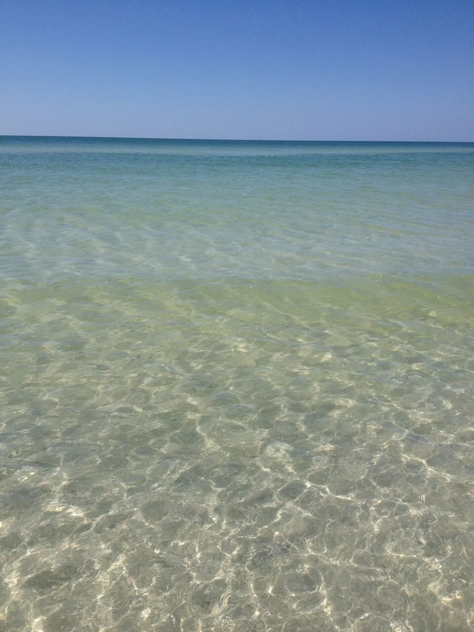 stPetBeach.jpg