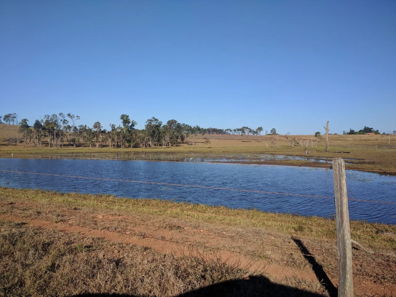 farm dam.jpg