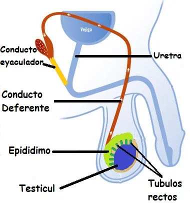 info_salud.jpg