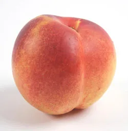 Nectarines.jpg