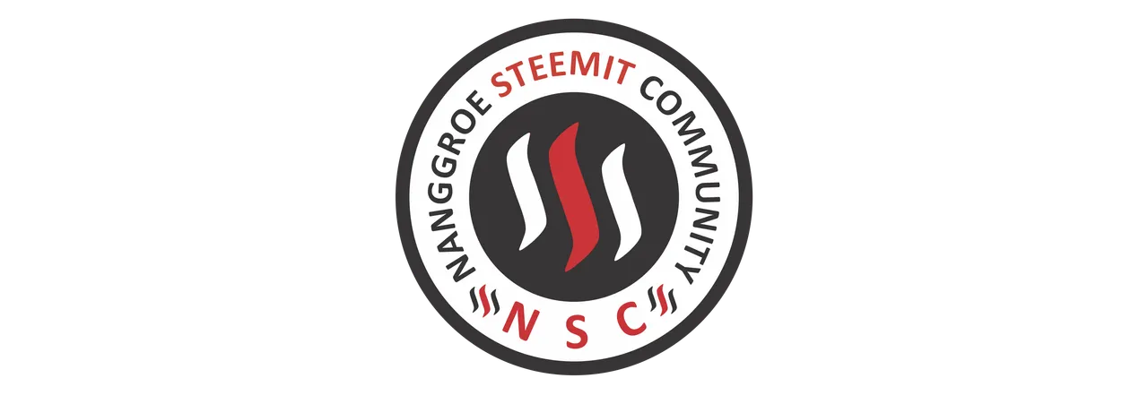 logo nsc.png