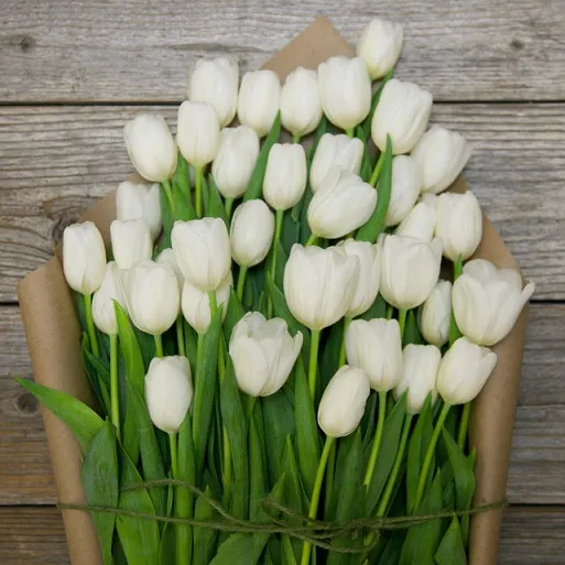 Tulips 4.jpg