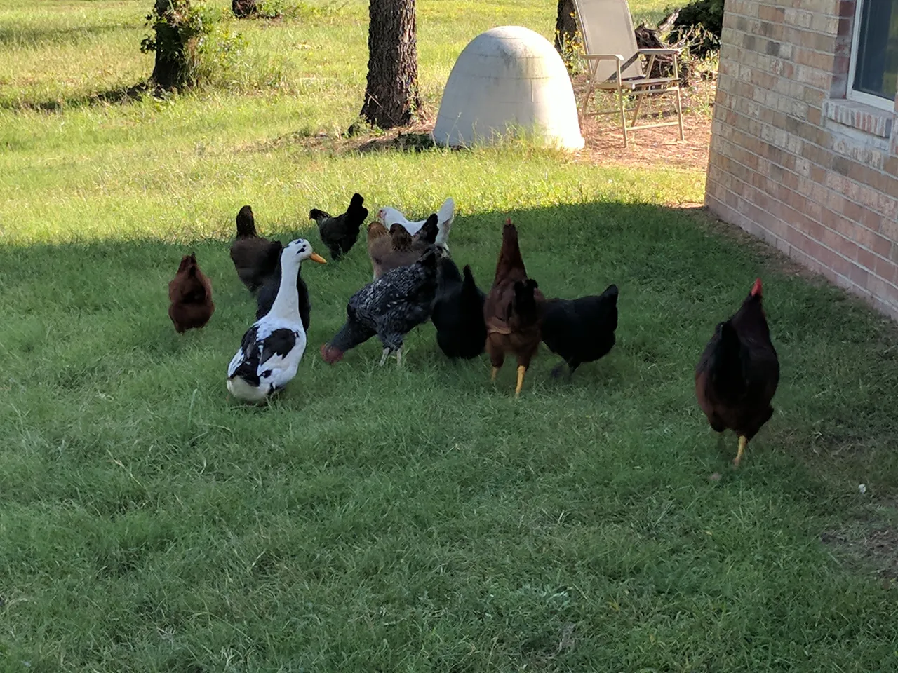 the gang.jpg