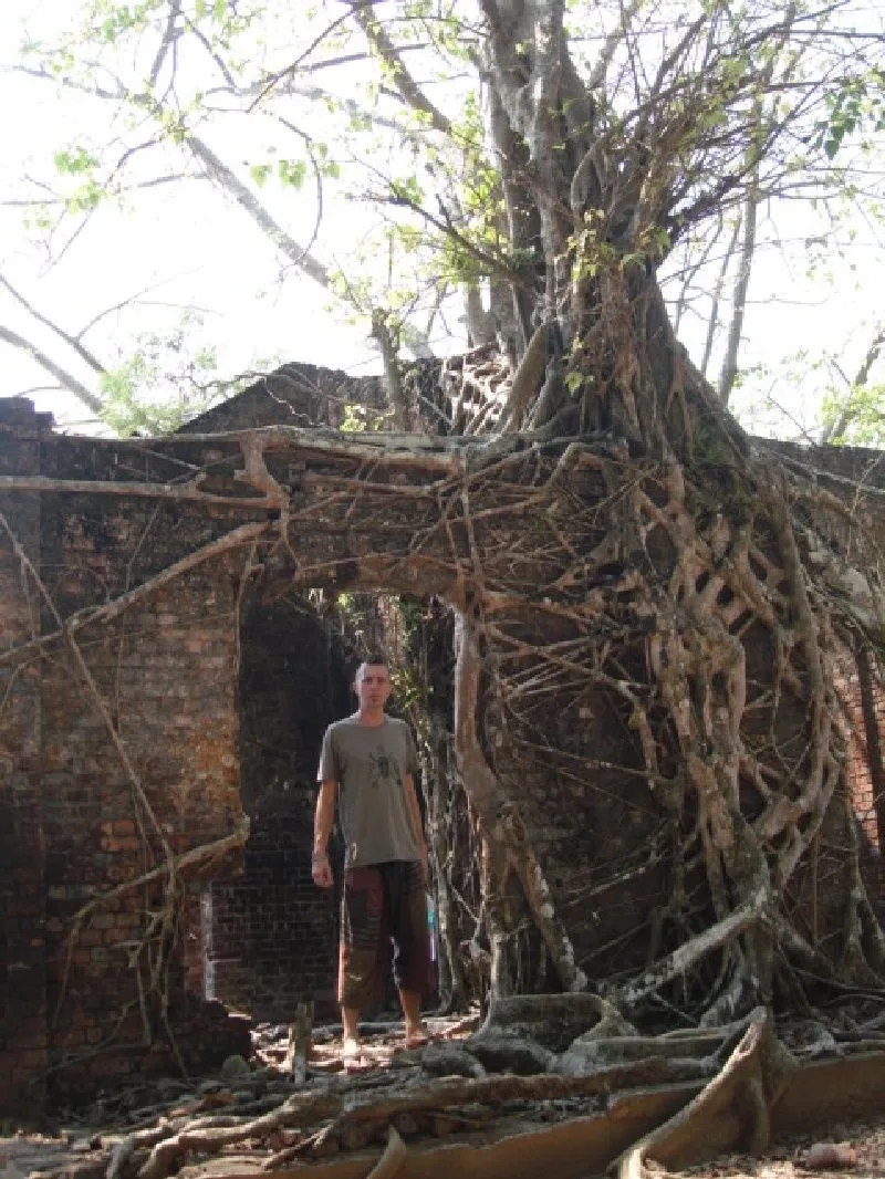 treething2.jpg