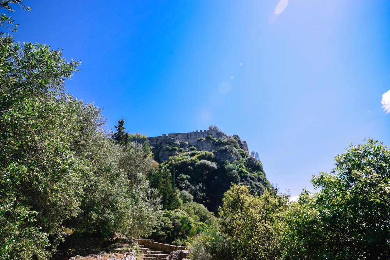 DSC_0250-2.jpg