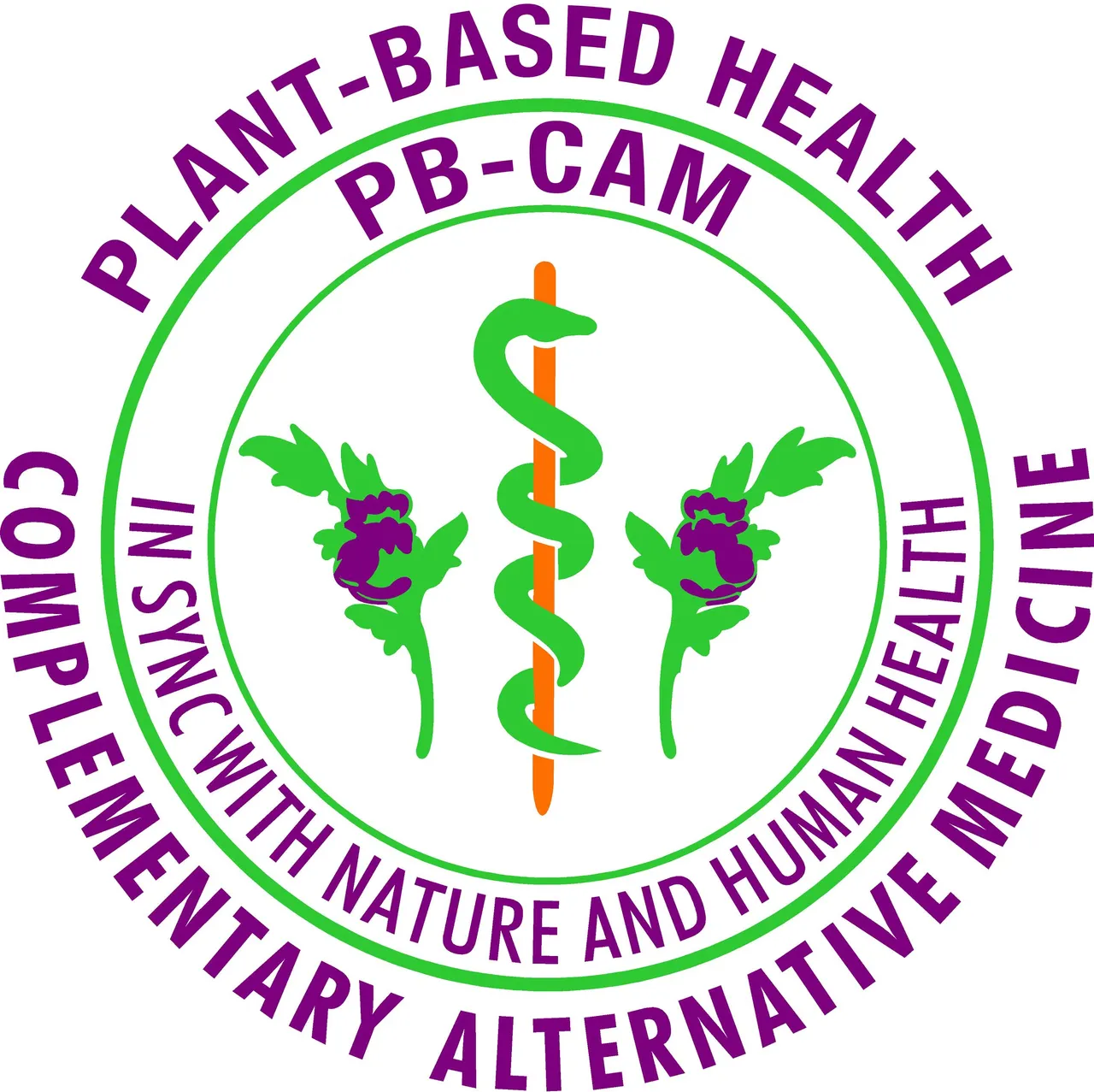 PB-CAMlogo.jpg