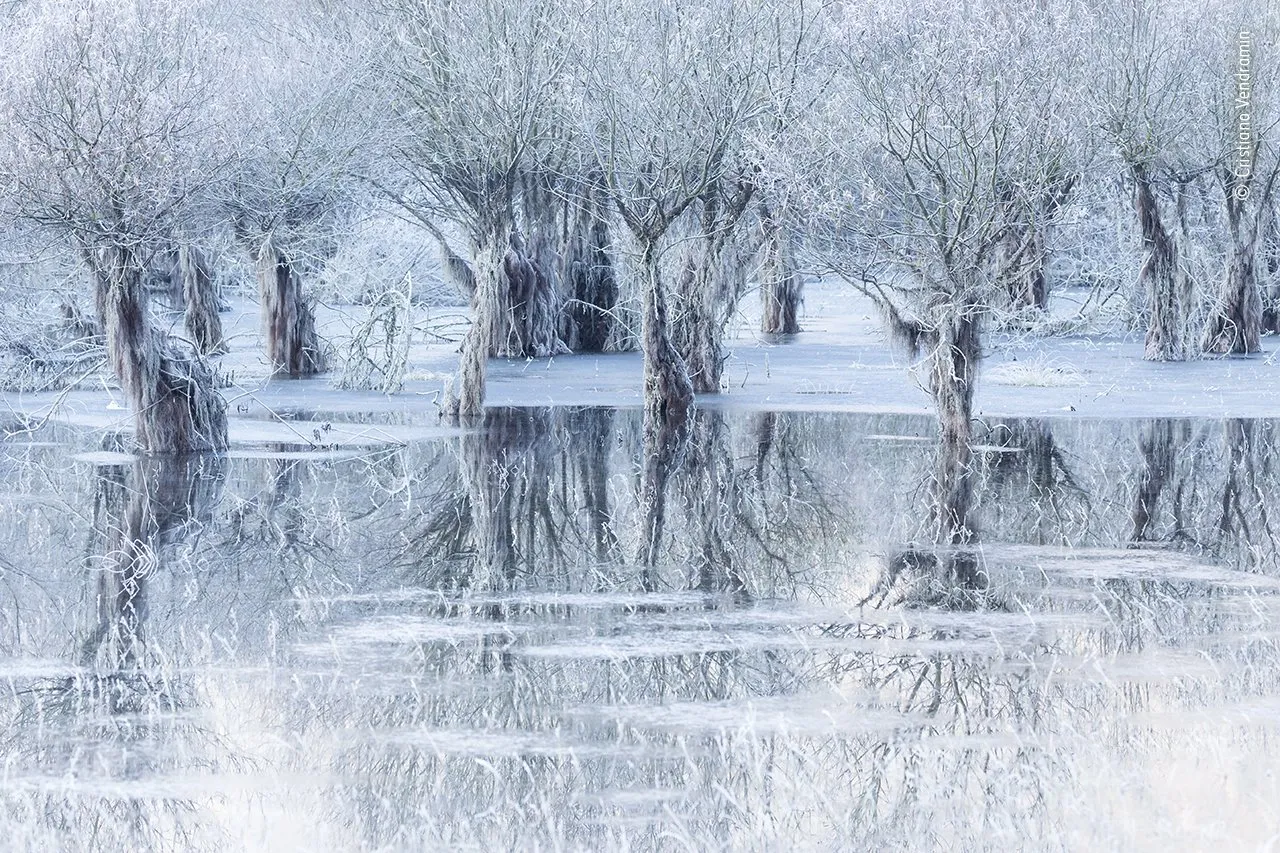 Lago de hielo // Lake of Ice. Foto/Photo: Cristiano Vendramin / Wildlife Photographer of the Year. Fuente/Source: https://www.nationalgeographic.com.es/temas/paisajes/fotos