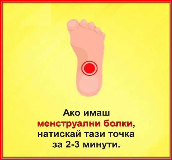 МЕНСТРУАЛНИ БОЛКИ.png