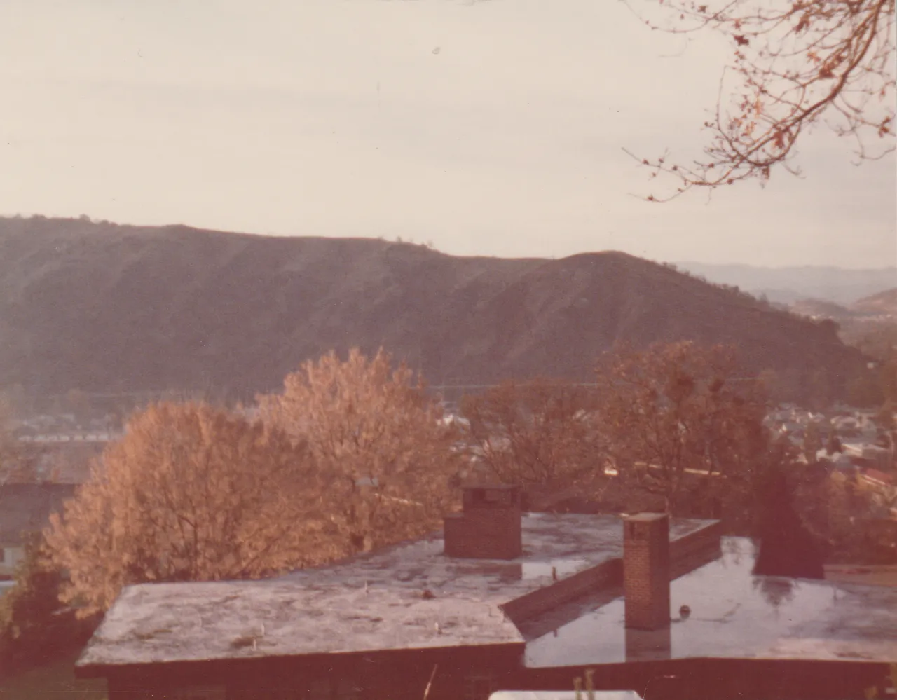 1974-11-28 - Thursday - Thanksgiving, outside view of houses, trees, hill, 3pics-1.png