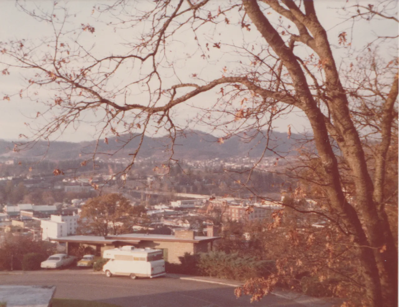 1974-11-28 - Thursday - Thanksgiving, outside view of houses, trees, hill, 3pics-3.png