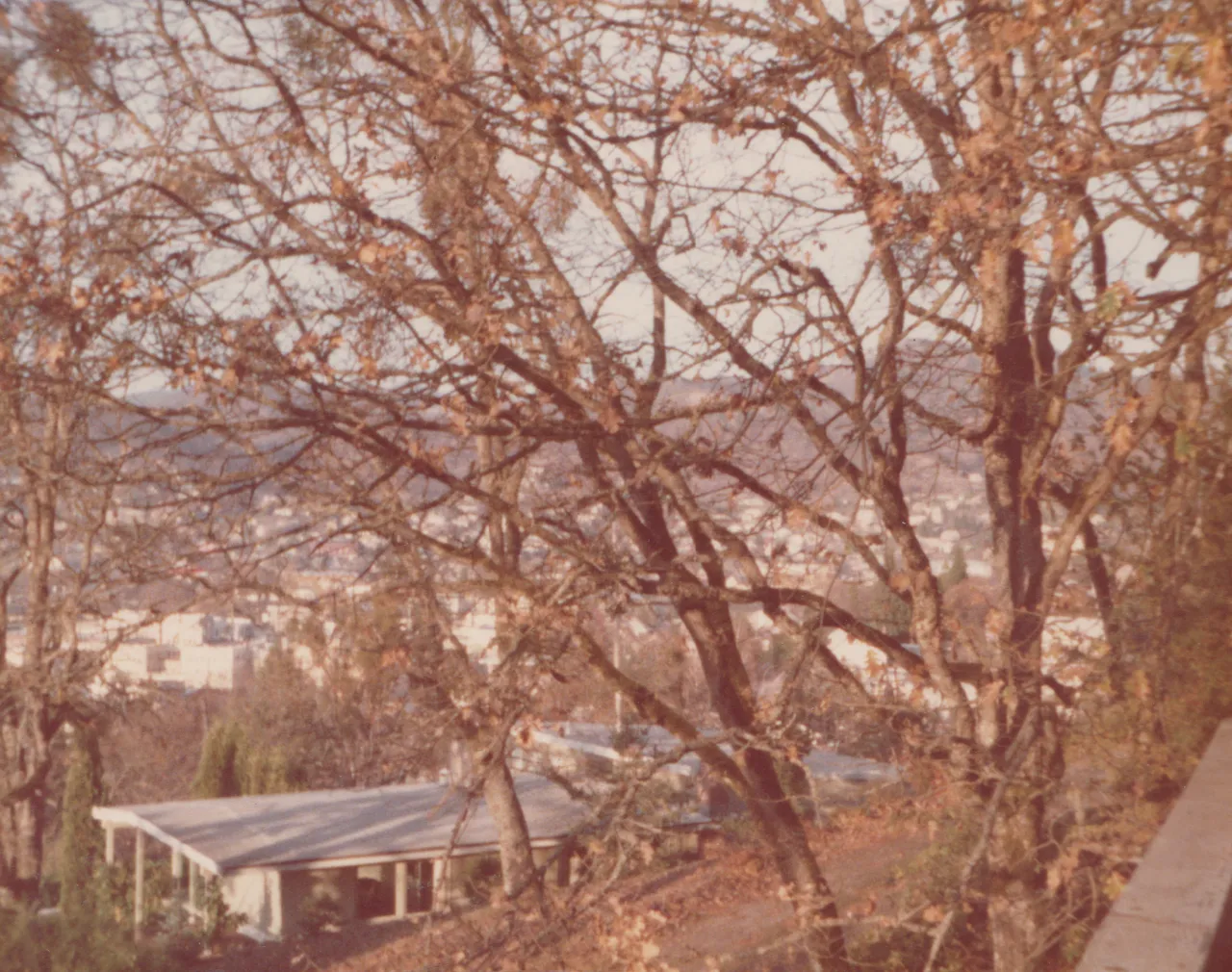 1974-11-28 - Thursday - Thanksgiving, outside view of houses, trees, hill, 3pics-2.png