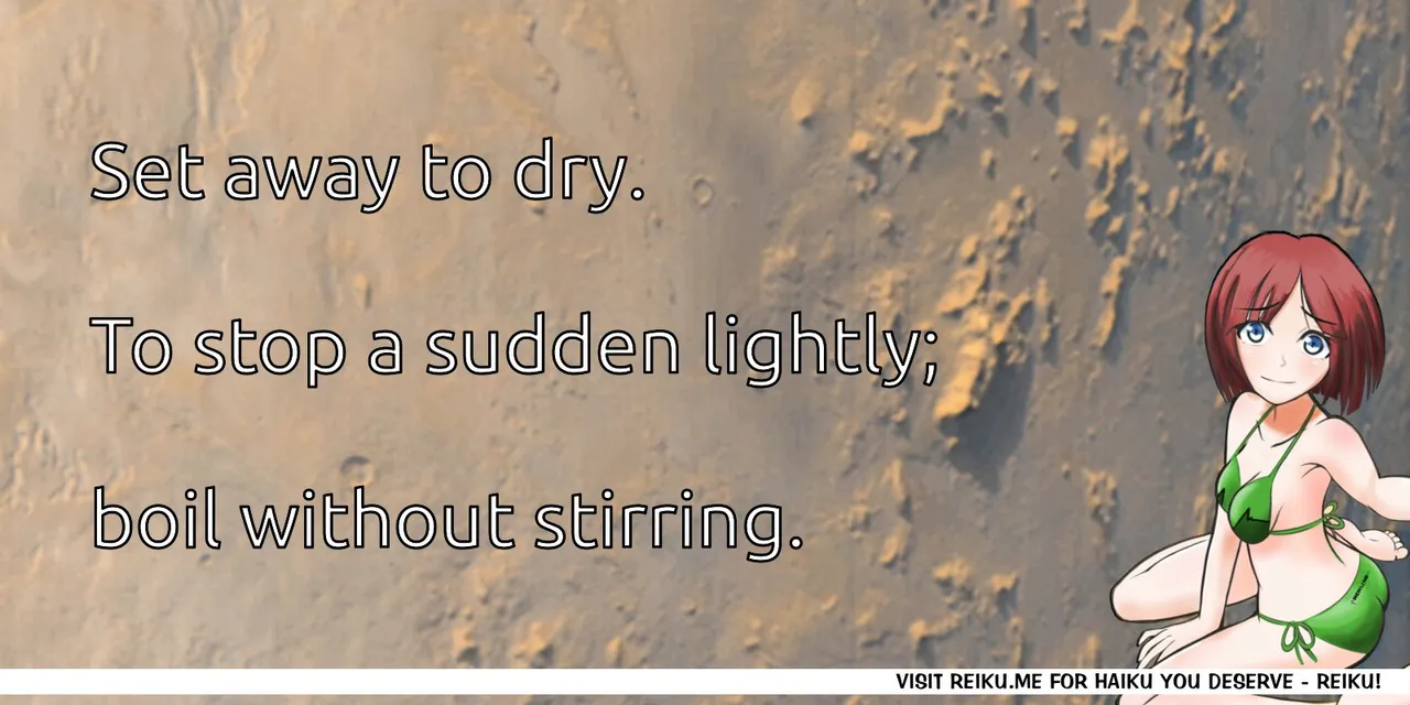 Reiku Haiku