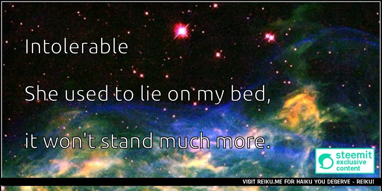 Reiku Haiku