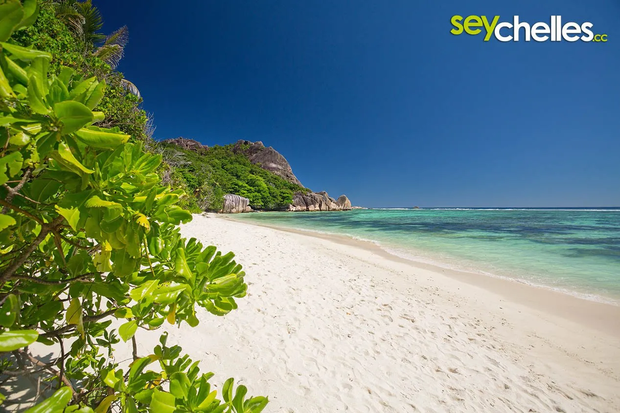 Discover Anse Source D'Argent in Seychelles, a piece of paradise on earth