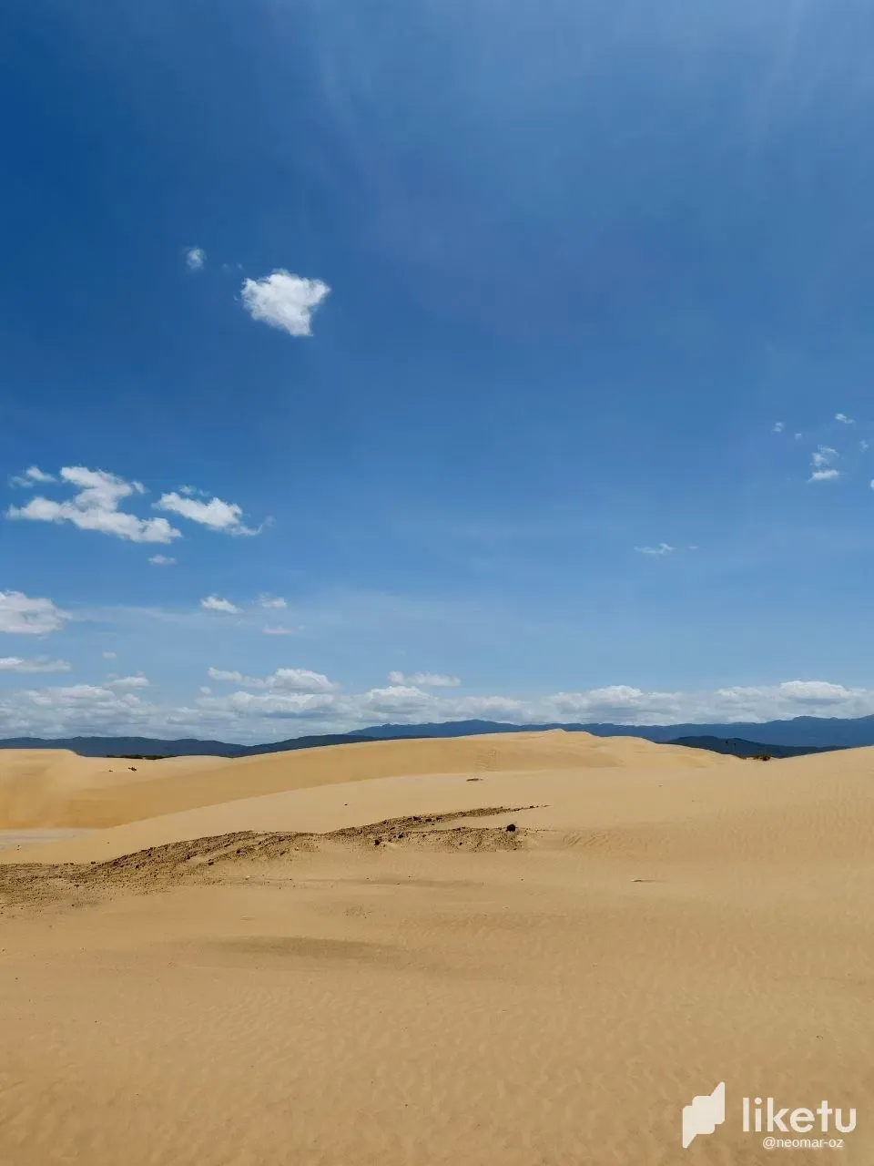 zxxvbvrHb5BwgqEn_photo_5_2025-04-09_20-28-25.webp