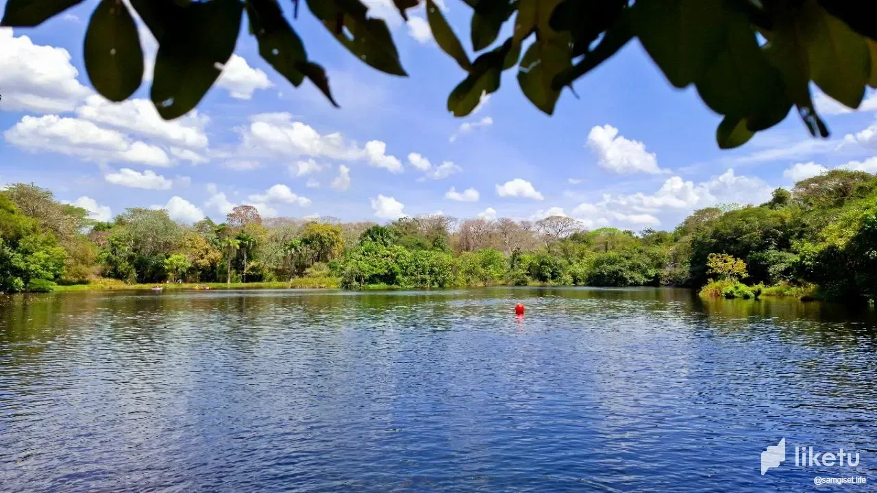 aNVPTSYz5TYKfDB9_photo_2025-03-19_00-12-37.webp
