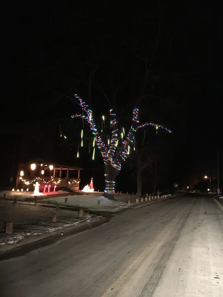 Luminaria - dripper lights2 crop December 2019.jpg