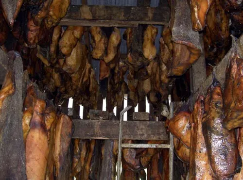 Makanan-Menjijikkan-Jorok-Tapi-katanya-Paling-Enak-Sedunia.jpg