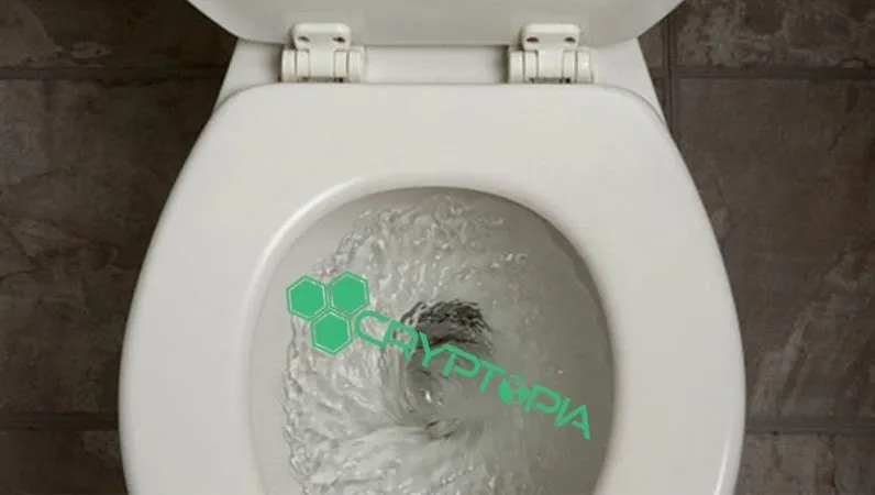 trader-cryptopcurrency-exchange-cryptopia-deposits-796x450.jpg