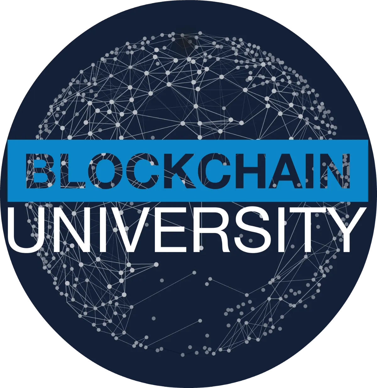 The Future of Block Chain and Cryptocurrencies.png