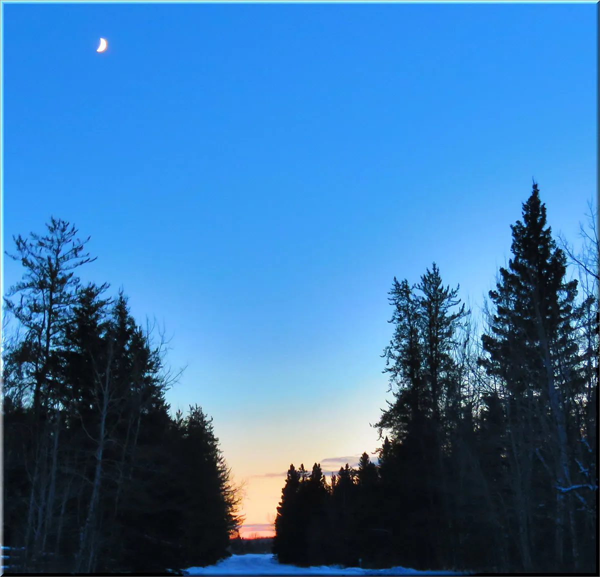 cresent moon shining color of last of sunset among spruce silhouettes.JPG